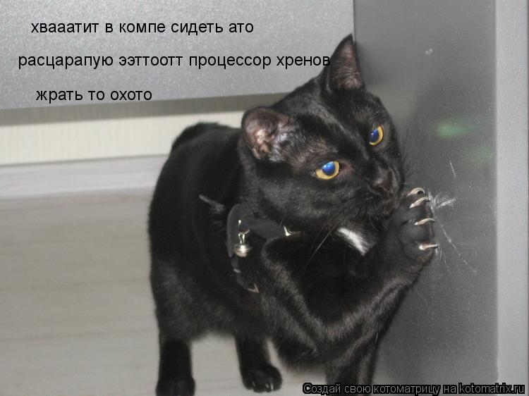Котоматрица: хвааатит в компе сидеть ато  расцарапую ээттоотт процессор хренов жрать то охото