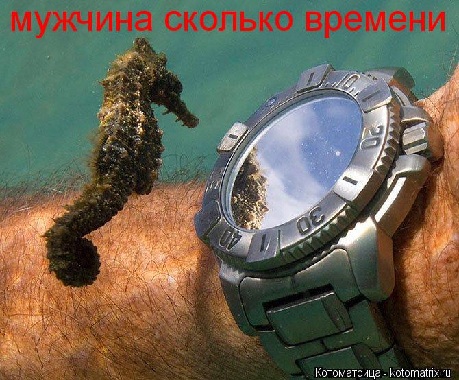 Котоматрица: мужчина сколько времени