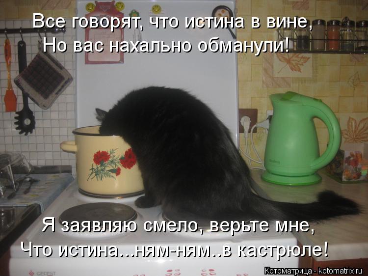 Я заявляю смело, верьте мне, Что истина...ням-ням..в кастрюле! Но вас нахально обманули! Все говорят... Котоматрица: Я заявляю смело, верьте мне, Что истина...ням-ням..в кастрюле! Но вас нахально обманули! Все говорят, что истина в вине,