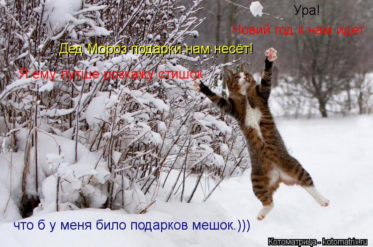 Котоматрица: Ура! Новий год к нам идет Дед Мороз подарки нам несёт! Я ему лутше розкажу стишок что б у меня било подарков мешок.)))
