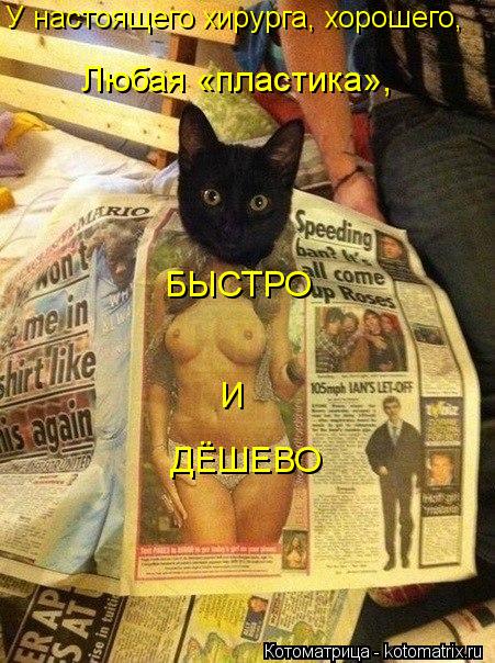 Котоматрица: У настоящего хирурга, хорошего, Любая «пластика»,   БЫСТРО И ДЁШЕВО
