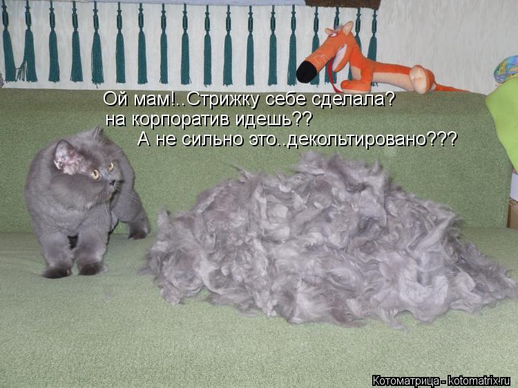 Котоматрица: Ой мам!..Стрижку себе сделала? на корпоратив идешь?? А не сильно это..декольтировано???