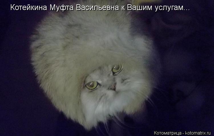 Котоматрица: Котейкина Муфта Васильевна к Вашим услугам...