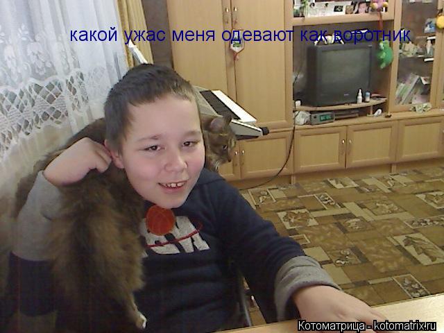Котоматрица: какой ужас меня одевают как воротник