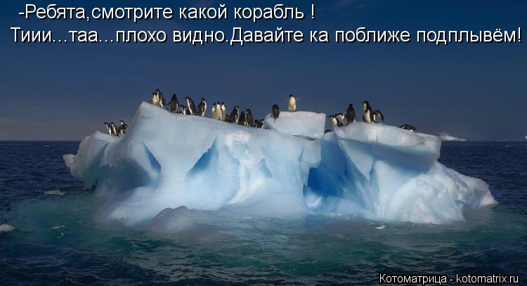 Котоматрица: -Ребята,смотрите какой корабль ! Тиии...таа...плохо видно.Давайте ка поближе подплывём!