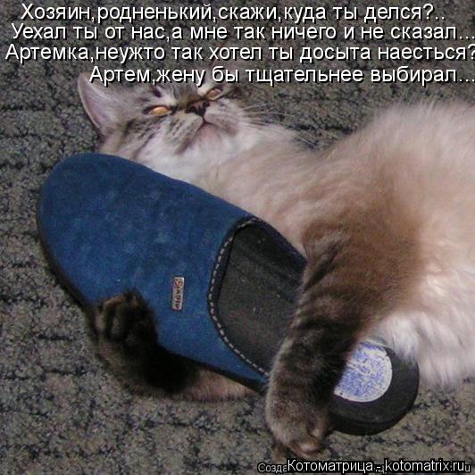 Котоматрица: Хозяин,родненький,скажи,куда ты делся?..  Уехал ты от нас,а мне так ничего и не сказал…  Артемка,неужто так хотел ты досыта наесться?  Артем,же