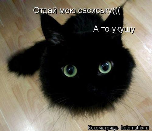 Котоматрица: Отдай мою сасиську((( А то укушу