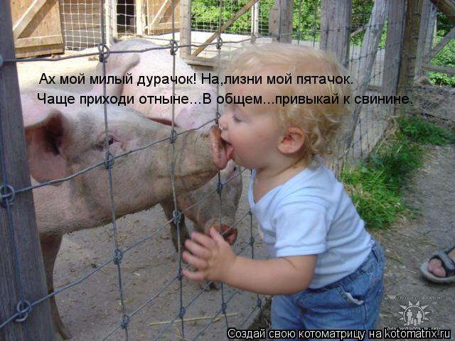 Котоматрица: Ах мой милый дурачок! На,лизни мой пятачок. Чаще приходи отныне...В общем ...привыкай к свинине.