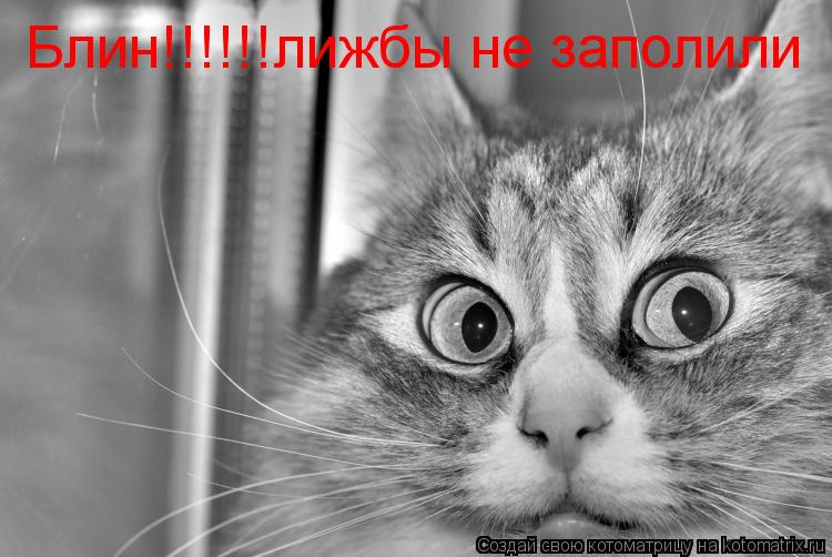 Котоматрица: Блин!!!!!!лижбы не заполили