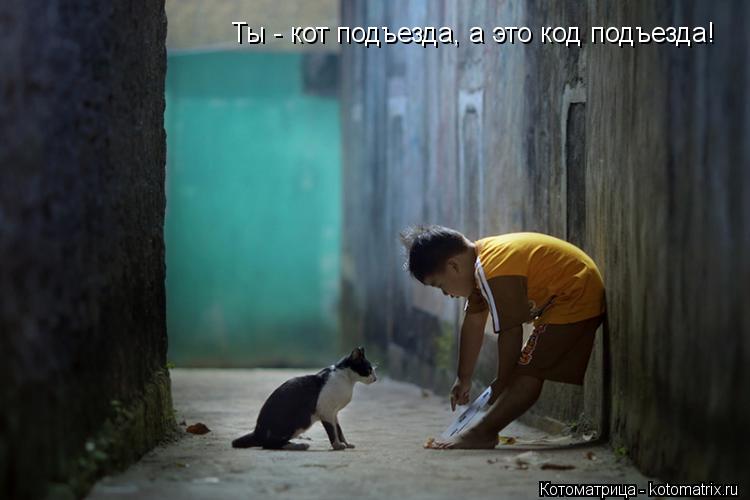 Котоматрица: Ты - кот подъезда, а это код подъезда!