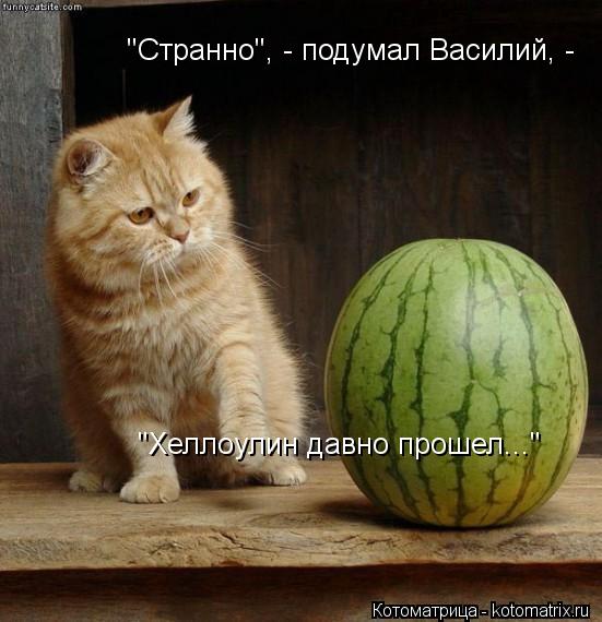 Котоматрица: "Странно", - подумал Василий, - "Хеллоулин давно прошел..."