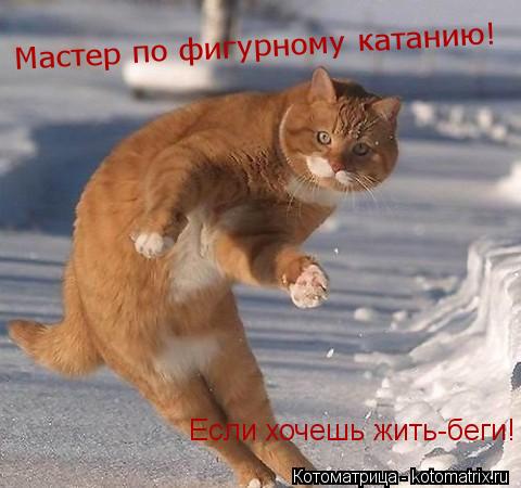 Котоматрица: Мастер по фигурному катанию! Если хочешь жить-беги!