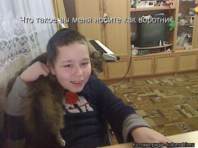 Котоматрица: Что такое вы меня носите как воротник.