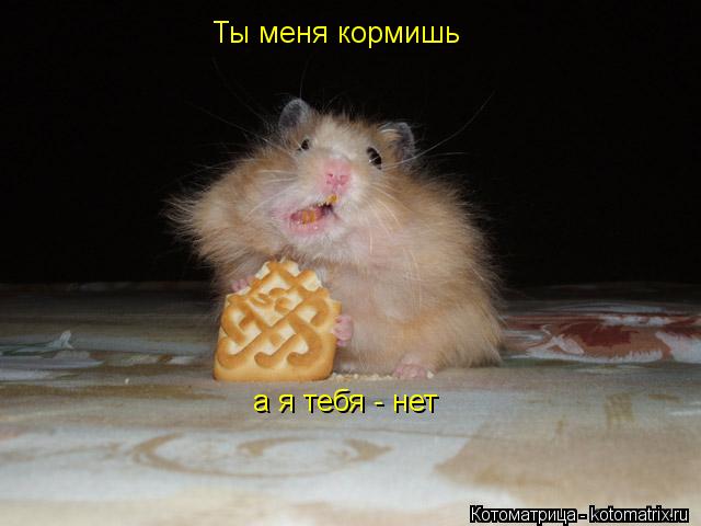 Котоматрица: Ты меня кормишь а я тебя - нет
