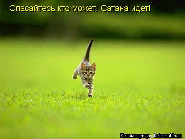 Котоматрица: Спасайтесь кто может! Сатана идет!