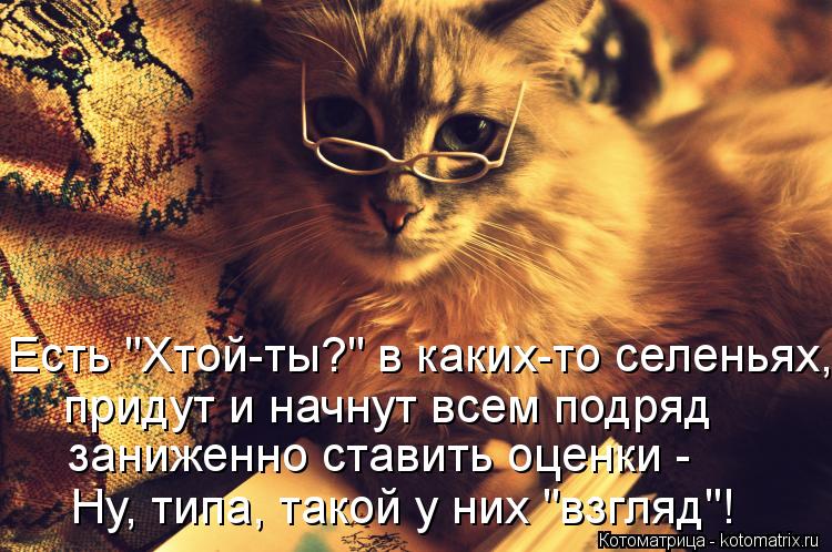 Котоматрица: Есть "Хтой-ты?" в каких-то селеньях, придут и начнут всем подряд заниженно ставить оценки -  Ну, типа, такой у них "взгляд"!