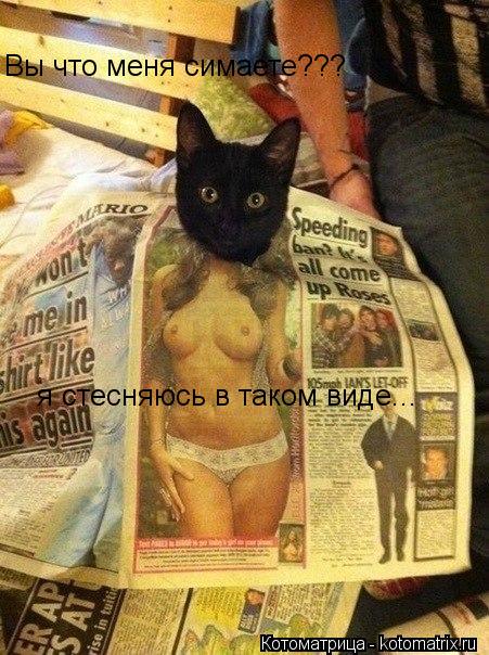 Котоматрица: Вы что меня симаете??? я стесняюсь в таком виде...