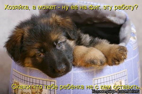 Котоматрица: Хозяйка, а может - ну её на фиг, эту работу? Скажи что тебе ребёнка не с кем оставить...