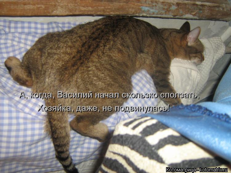 Котоматрица: А, когда, Василий начал скользко сползать, Хозяйка, даже, не подвинулась!
