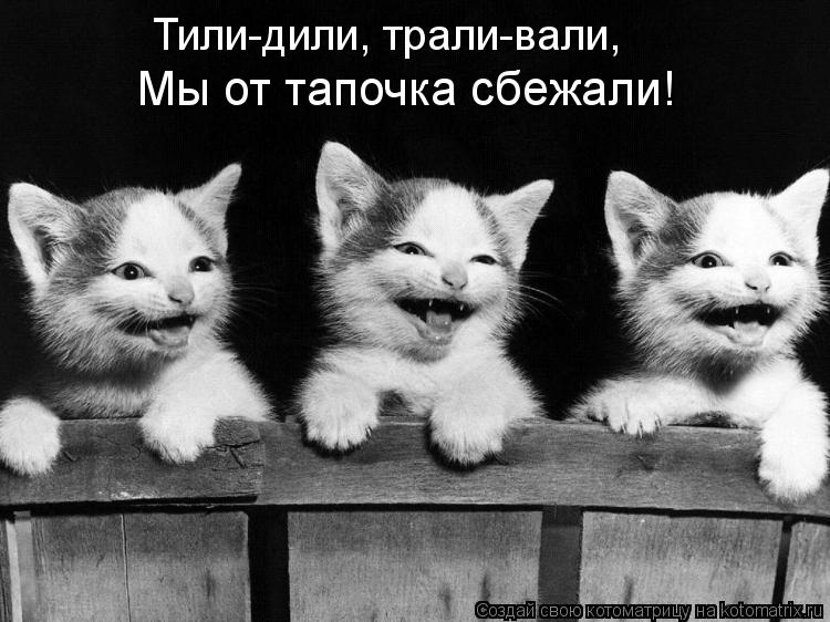 Котоматрица: Мы от тапочка сбежали! Тили-дили, трали-вали,