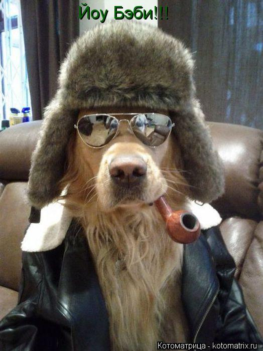 Котоматрица: Йоу Бэби!!!