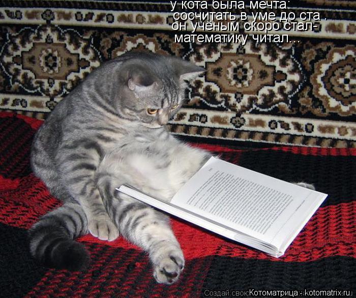 Котоматрица: у кота была мечта: сосчитать в уме до ста . математику читал... он учёным скоро стал-