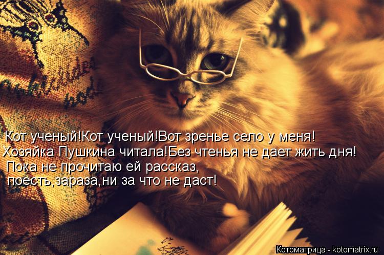 Котоматрица: Кот ученый!Кот ученый!Вот зренье село у меня! Хозяйка Пушкина читала!Без чтенья не дает жить дня! Пока не прочитаю ей рассказ, поесть,зараза,