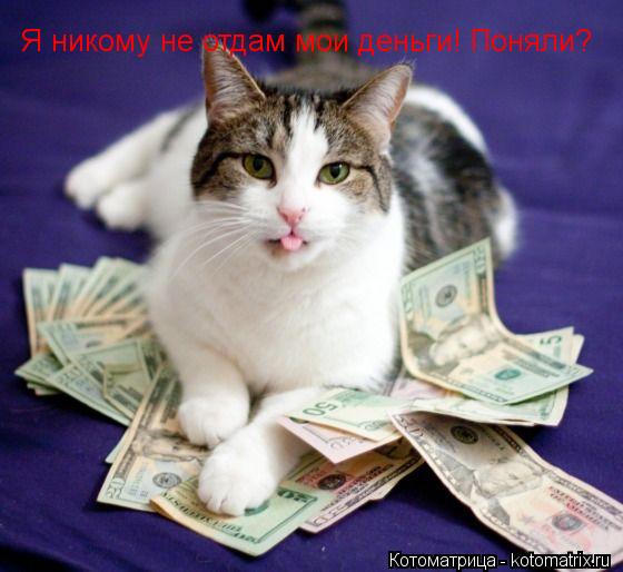 Котоматрица: Я никому не отдам мои деньги! Поняли?