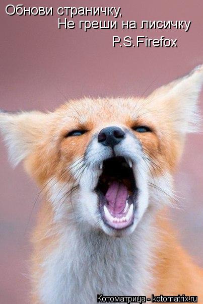 Котоматрица: Обнови страничку, Не греши на лисичку P.S.Firefox