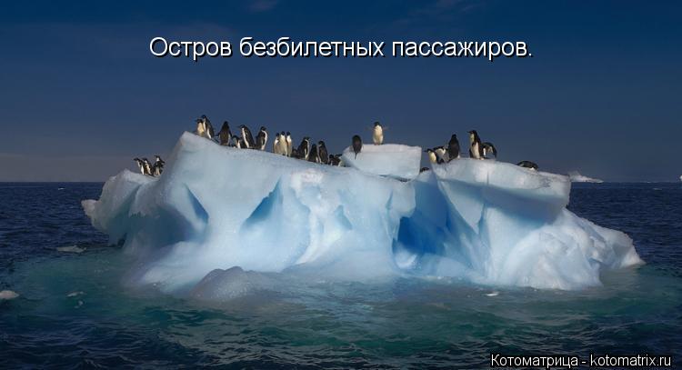 Котоматрица: Остров безбилетных пассажиров.