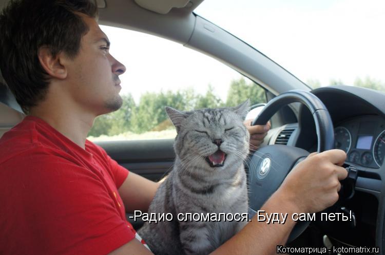 Котоматрица: -Радио сломалося. Буду сам петь!