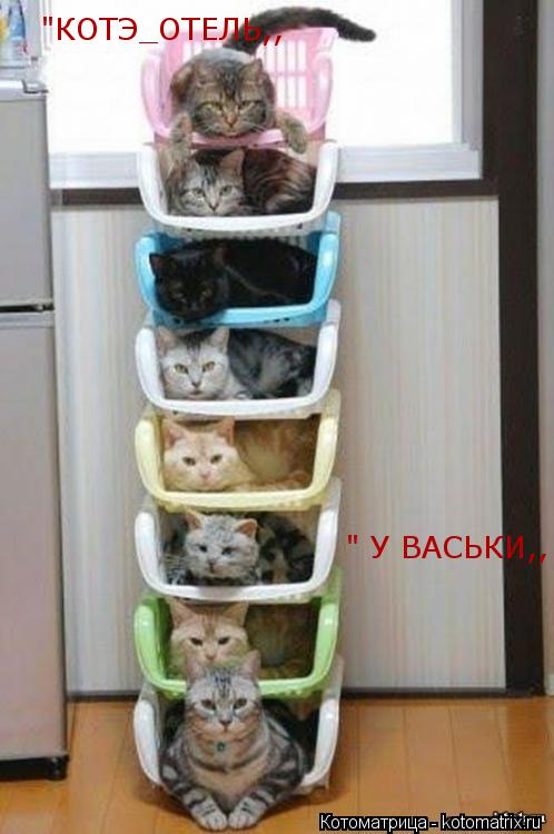 Котоматрица: "КОТЭ_ОТЕЛЬ,, " У ВАСЬКИ,,