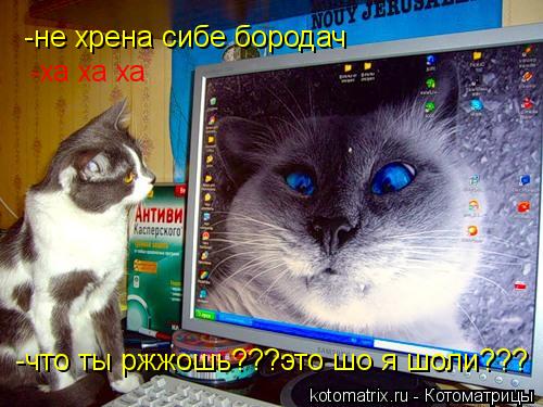 Котоматрица: -не хрена сибе бородач -ха ха ха -что ты ржжошь???это шо я шоли???