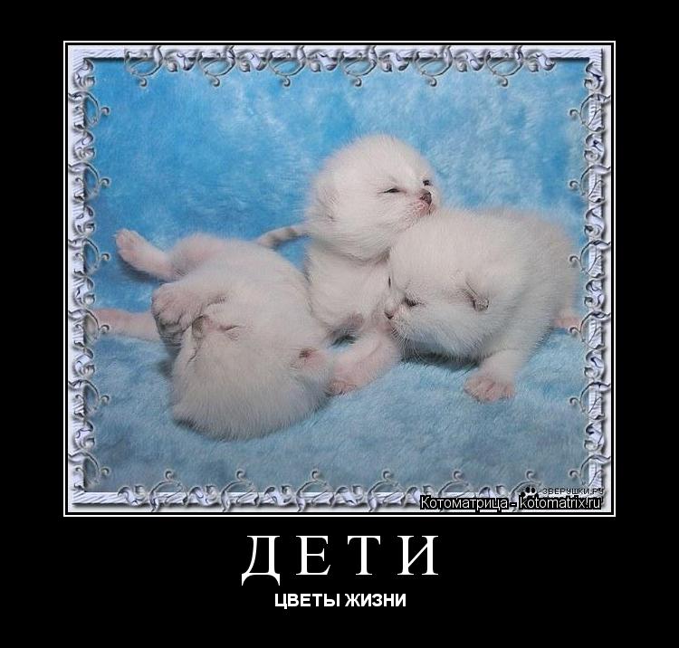 Котоматрица: ДЕТИ ЦВЕТЫ ЖИЗНИ