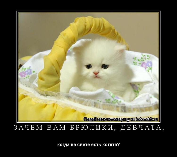 Котоматрица: ЗАЧЕМ ВАМ БРЮЛИКИ, ДЕВЧАТА,  когда на свете есть котята?
