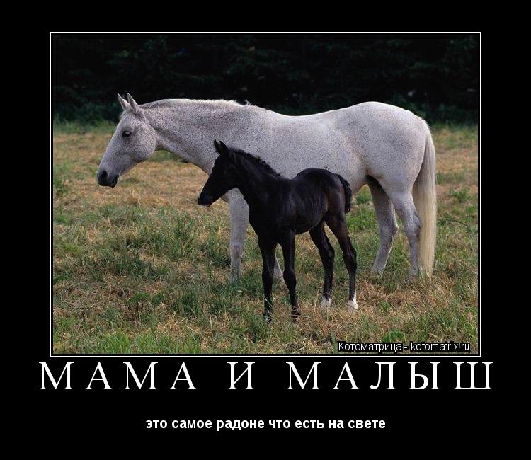 МАМА И МАЛЫШ это самое радоне что есть на свете... Котоматрица: МАМА И МАЛЫШ это самое радоне что есть на свете