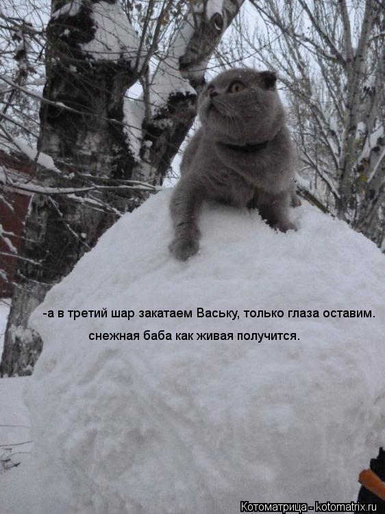 Котоматрица: -а в третий шар закатаем Ваську, только глаза оставим. снежная баба как живая получится.