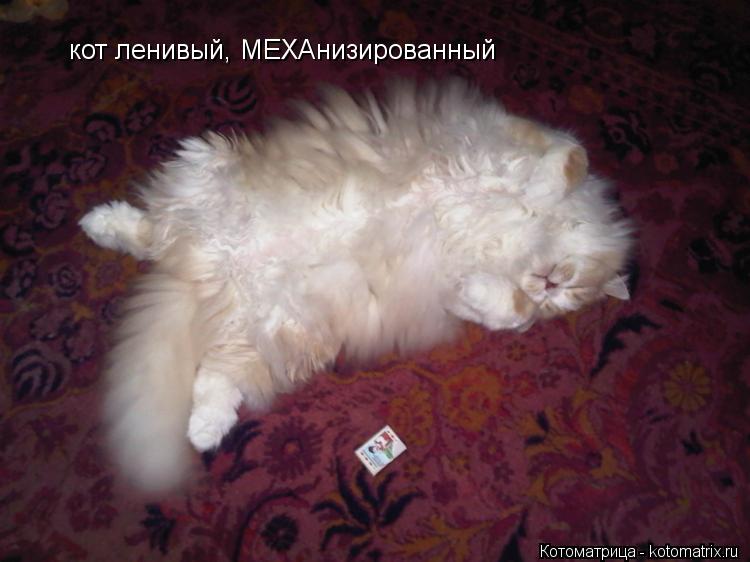 Котоматрица: кот ленивый, МЕХАнизированный
