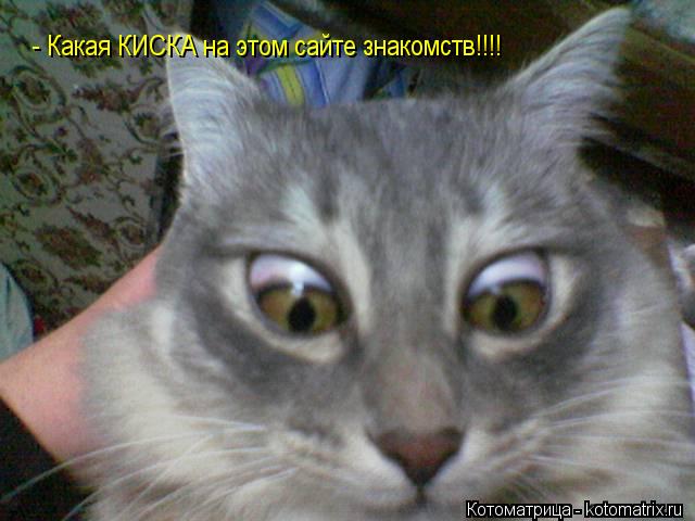 Котоматрица: - Какая КИСКА на этом сайте знакомств!!!!