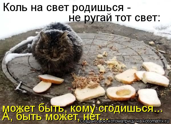 Котоматрица: Коль на свет родишься -  не ругай тот свет: может быть, кому сгодишься... А, быть может, нет...