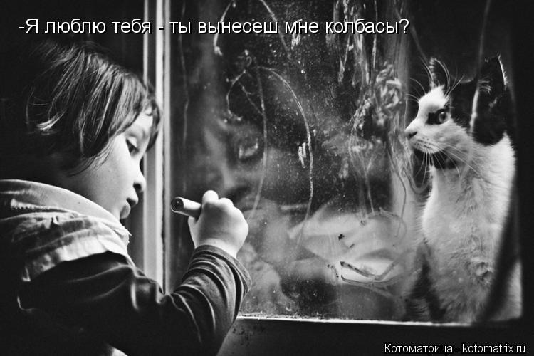 Котоматрица: -Я люблю тебя - ты вынесеш мне колбасы?