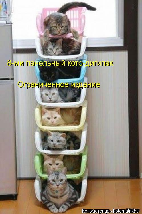 Котоматрица: 8-ми панельный кото-дигипак Ограниченное издание