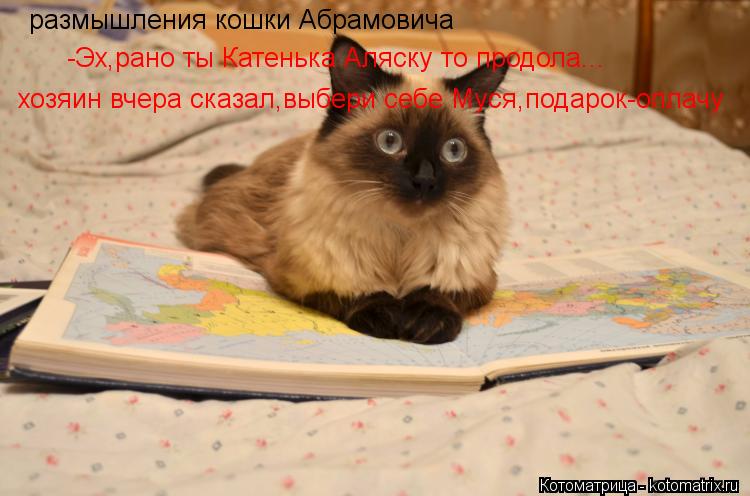 Котоматрица: размышления кошки Абрамовича -Эх,рано ты Катенька Аляску то продола... хозяин вчера сказал,выбери себе Муся,подарок-оплачу