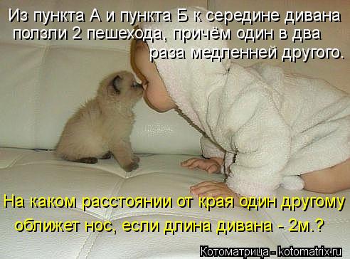 Котоматрица: Из пункта А и пункта Б к середине дивана  ползли 2 пешехода, причём один в два  раза медленней другого. На каком расстоянии от края один друго