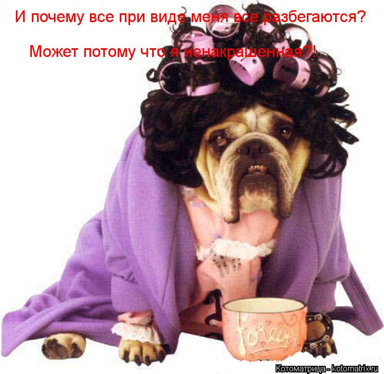 Котоматрица: И почему все при виде меня все разбегаются? Может потому что я ненакрашенная?!