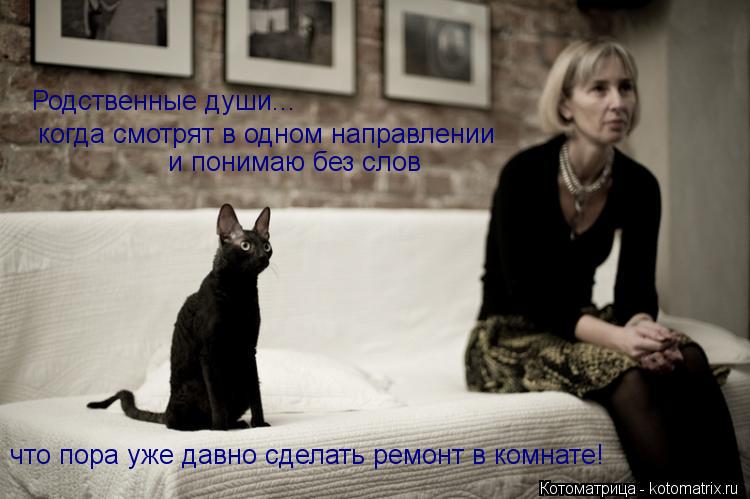 Родственные души... когда смотрят в одном направлении и понимаю без слов что пора уже давно сделать р... Котоматрица: Родственные души... когда смотрят в одном направлении и понимаю без слов что пора уже давно сделать ремонт в комнате!