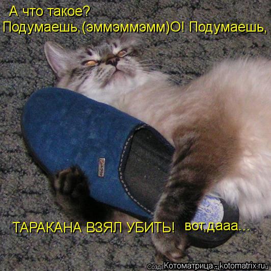 Котоматрица: А что такое? Подумаешь,(эммэммэмм)О! Подумаешь, ТАРАКАНА ВЗЯЛ УБИТЬ! вот,дааа...