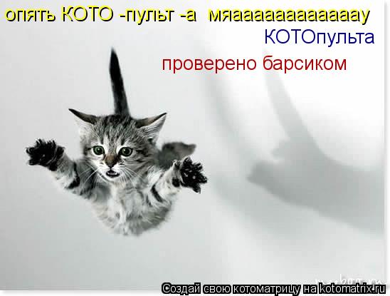 Котоматрица: опять КОТО -пульт -а  мяаааааааааааау КОТОпульта проверено барсиком