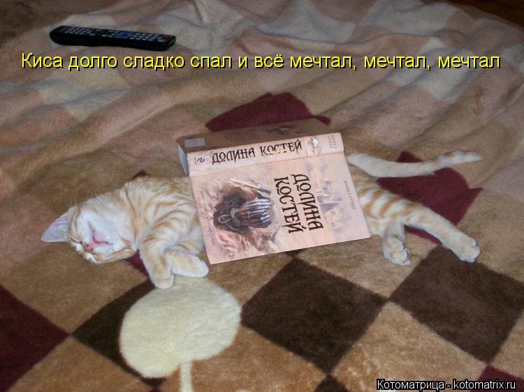 Киса долго сладко спал и всё мечтал, мечтал, мечтал... Котоматрица: Киса долго сладко спал и всё мечтал, мечтал, мечтал