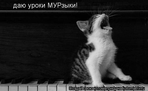 Котоматрица: даю уроки МУРзыки!